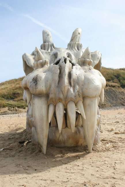Обнаружен огромный череп динозавра на пляжу в Англии (9 фото)