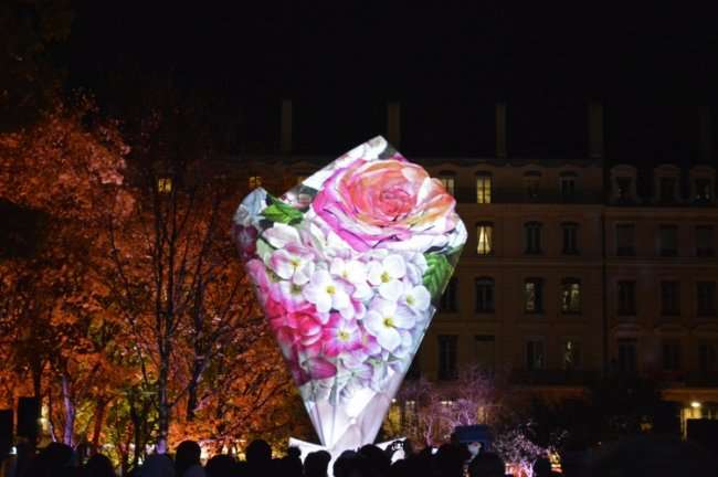 Фестиваль света во Франции (25 фото)