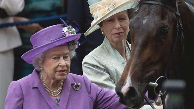 У лошади королевы Британии обнаружили допинг (3 фото)