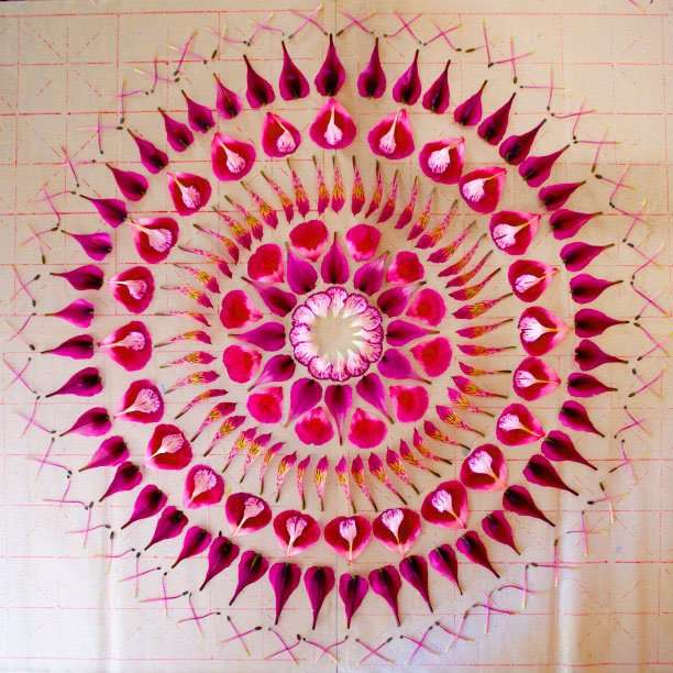 Цветочные мандалы от Кэти Кляйн (15 фото)