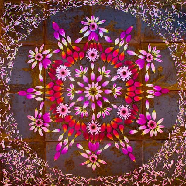 Цветочные мандалы от Кэти Кляйн (15 фото)