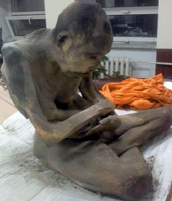 200-летняя живая мумия (3 фото)