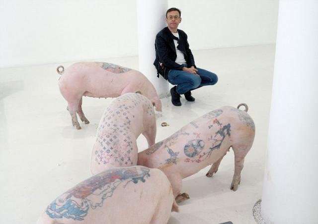 Мастер нанесения татуировок на свиней (10 фото)