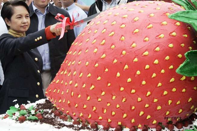 Самые большие торты в мире (5 фото)