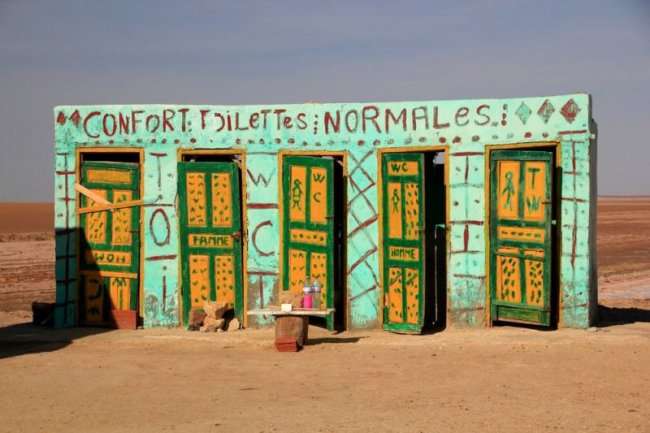 Самые удивительные туалеты мира (10 фото)