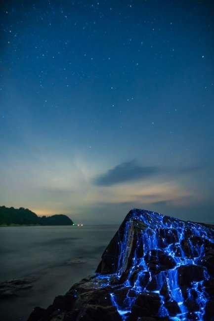 Слезы скал в ночной Японии (9 фото)