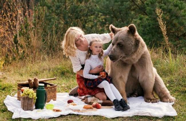 Фотосессия с медведем от Ольги Баранцевой (16 фото)