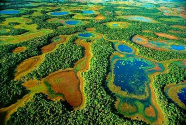 Самое крупное болото на планете (4 фото)