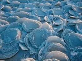 Лід у вигляді млинців (3 фото)