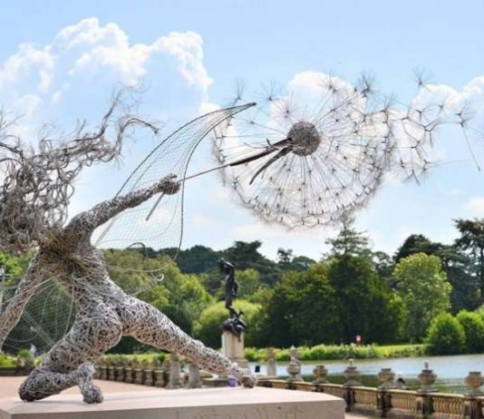 Скульптури з дроту від Робін Уайт