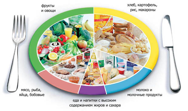 правильне харчування