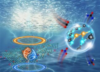 Стратегія розвитку каталізатора підвищує ефективність синтезу зеленої сечовини