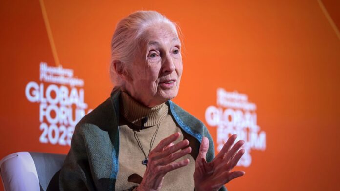 bcb026db-2eb2-4965-afc8-4edf28194756