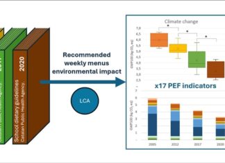 Schoolmaaltijden kunnen de milieu-impact met de helft verkleinen met eenvoudige veranderingen in het voedingspatroon