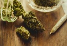 Ученые обнаружили, что употребление каннабиса связано с эпигенетическими изменениями