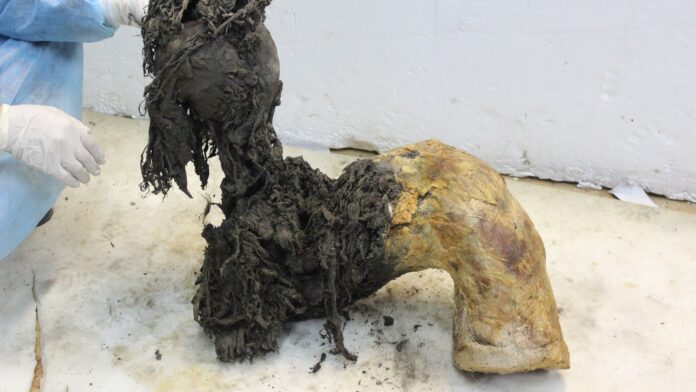 21345dd8-2c69-4862-ae64-d37040e0194c