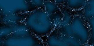 Dark Matter Follows Gravity on Cosmic Scales, Ruling Out a Fifth Fundamental Force