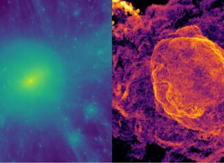ZderzeniaGalaxy ujawniają ekstremalną fizykę w reliktach radiowych