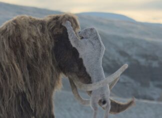 Resa dei conti preistorica: mammut e gatti dai denti a sciabola in un mondo che cambia