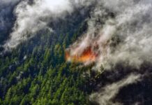 Asap Kebakaran Hutan di Ketinggian Mendinginkan Suasana, Menantang Model Iklim