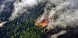 Дим від високогірних лісових пожеж охолоджує атмосферу, ставить під сумнів кліматичні моделі
