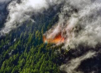 El humo de los incendios forestales a gran altura enfría la atmósfera y desafía los modelos climáticos