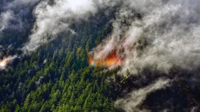 e4f841a9-6ba5-42e9-9d9b-d22d1e04a6ae