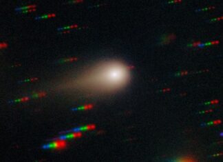 Tento týden ve vědě: průlety komet, průlomy v léčbě rakoviny mozku a hledání dlouhověkosti