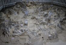 Ледниковые украинцы строили дома из костей мамонтов 18 000 лет назад