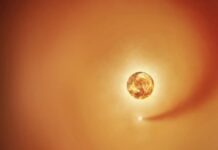 Прихований супутник Бетельгейзе: розгадка давньої таємниці