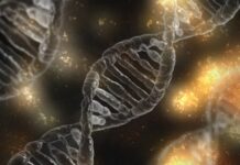 Приховані генетичні помилки: новий погляд на чоловіче безпліддя