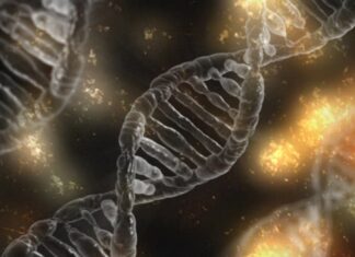 Errores genéticos ocultos: nuevos conocimientos sobre la infertilidad masculina