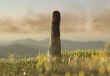 Prototaksyty: zaginiona gałąź wczesnego złożonego życia