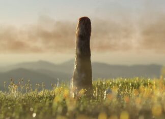 Prototaxites: A Lost Branch of Early Complex Life