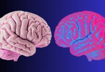 Мозкові хвилі визначають, як ми відрізняємо себе від світу навколо нас