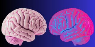 Мозкові хвилі визначають, як ми відрізняємо себе від світу навколо нас