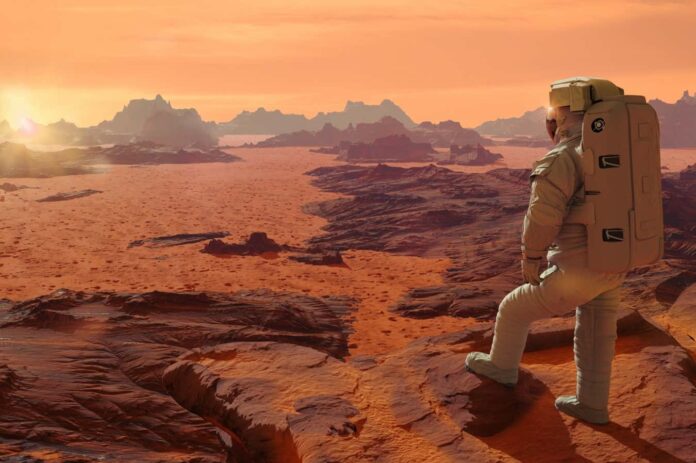 d3986d74-ddfa-4bae-8626-ef6838fca481