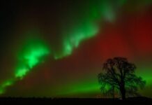 Сьогодні ввечері в США можна буде побачити північне сяйво. Ось як його переглянути.