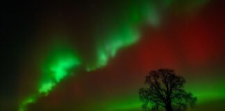 Сьогодні ввечері в США можна буде побачити північне сяйво. Ось як його переглянути.