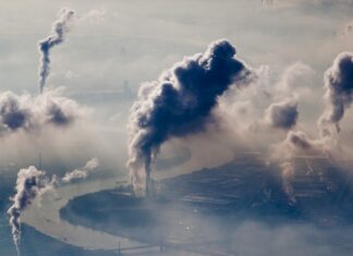 Zanieczyszczenie powietrza jest bezpośrednio powiązane ze zwiększonym ryzykiem choroby Alzheimera