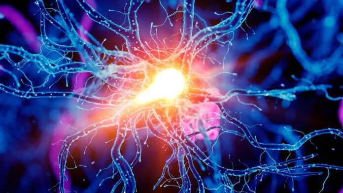 90bc893c-d8f8-4d7a-a53d-8277944670b8