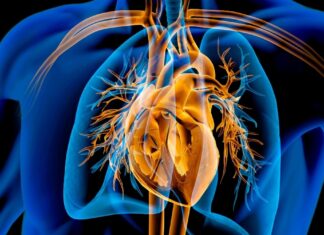 Semaglutide Pill Linked to Heart Benefits in High-Risk Patients