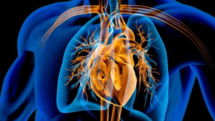 e4332787-f573-415a-bb96-6afa36289b14