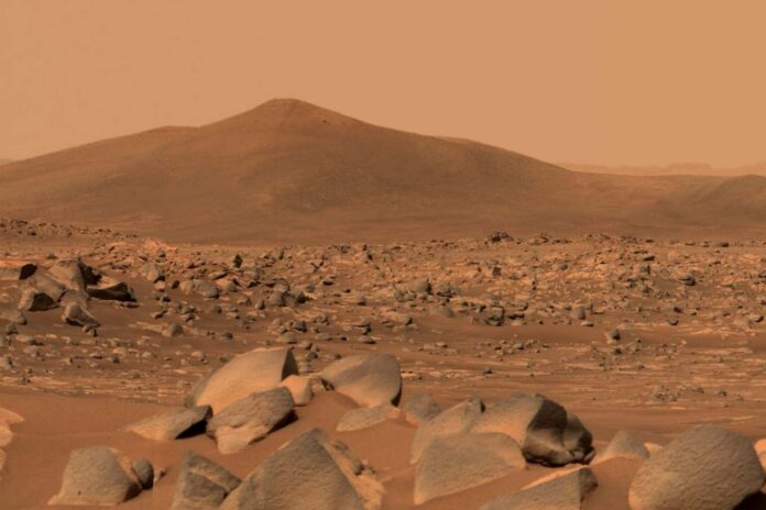 0d873b76-b1c6-4b63-b1a0-a36bc0b820e6