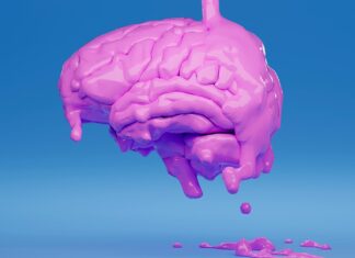 Élimination des déchets cérébraux liés au risque de psychose, dès l’enfance