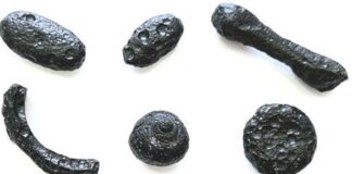 Нещодавно Виявлене Поле Ударного Скла від Метеориту у Бразилії