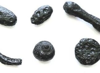 Champ de verre à impact de météorite récemment découvert au Brésil