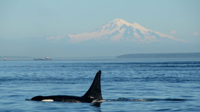 32a19b6c-aa5e-419a-8cf4-1e0285a4df06