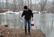 Потомак Повертається до нормального життя після зниження забруднення стічними водами