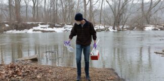 Потомак Повертається до нормального життя після зниження забруднення стічними водами